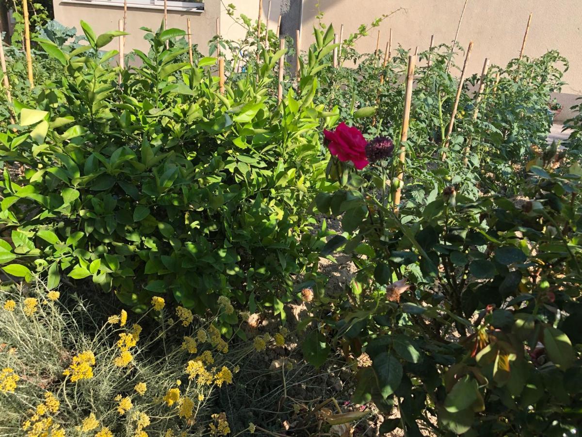 Garden Apartman Split Eksteriør bilde